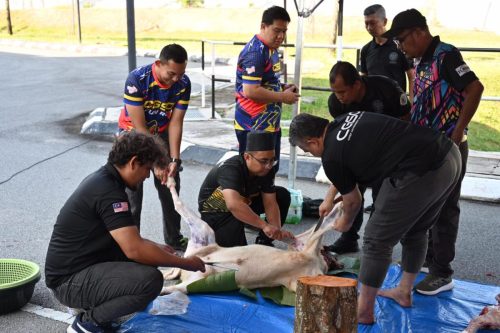 2-QURBAN-2025